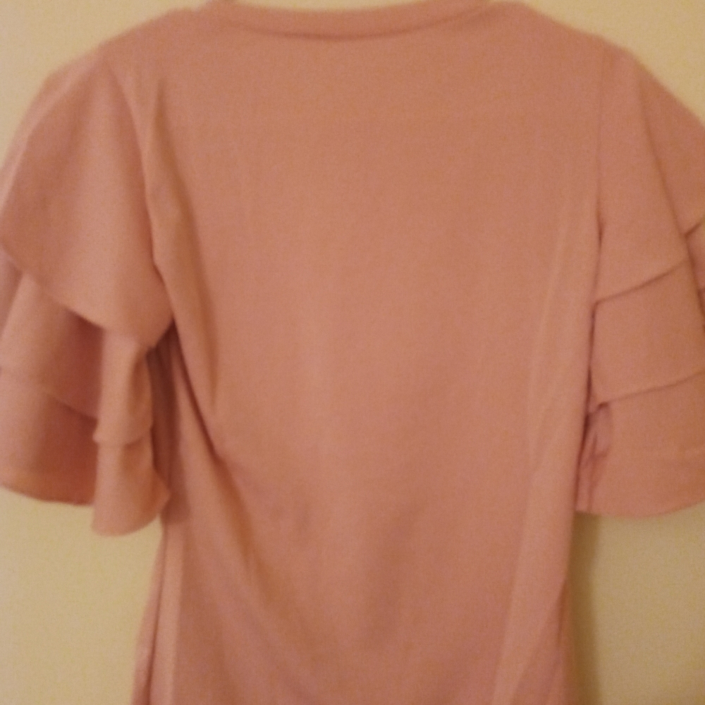 Neck Flounce blouse
